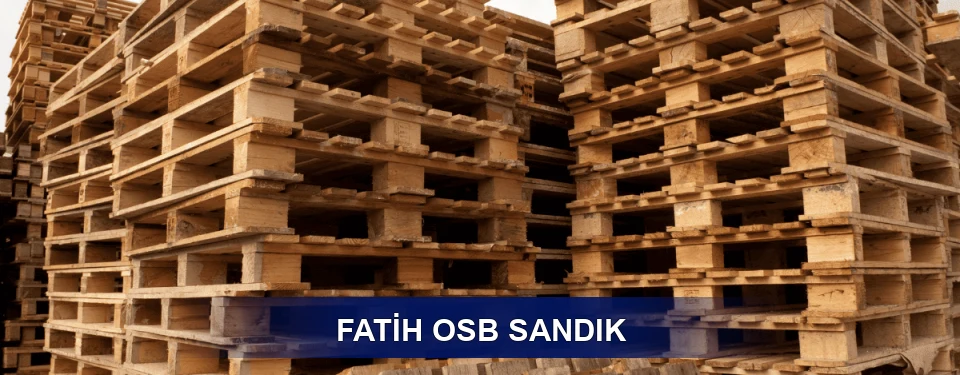 Fatih Ölçü Planı